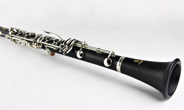 What is the Alto Flute? An In-depth Look - Musicalinstrumentworld.com