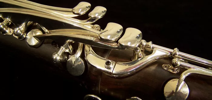 Clarinet vs. Saxophone, Which Should I Choose? - Musicalinstrumentworld.com